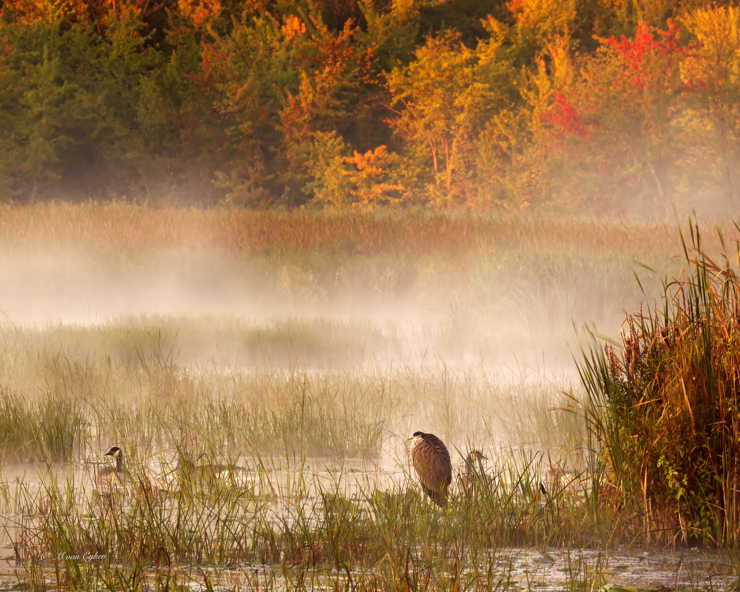Misty Morning, La Grande Baie, Oka
