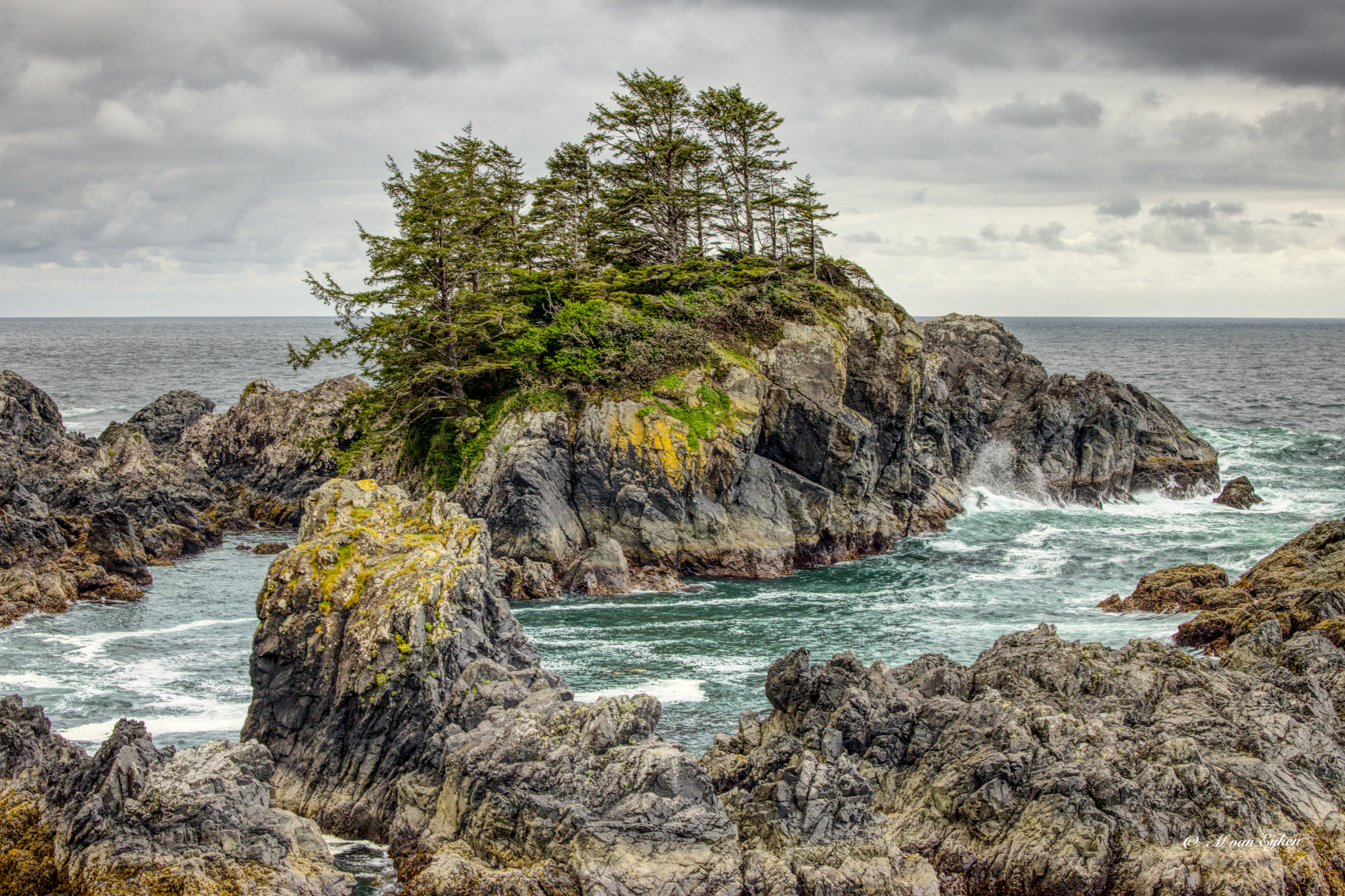 Un petit îlot couronné de conifères tient bon face aux vagues du Pacifique, le long du sentier Wild Pacific Trail à Ucluelet.